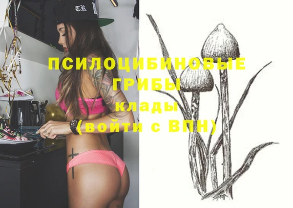 тгк Баксан